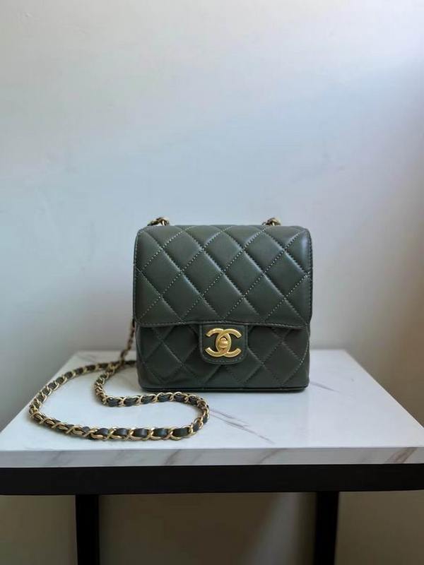 Chanel Handbags 213